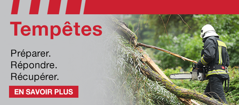 Grainger-Promotional-Banner-Ad 2 Storms